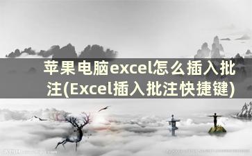 苹果电脑excel怎么插入批注(Excel插入批注快捷键)