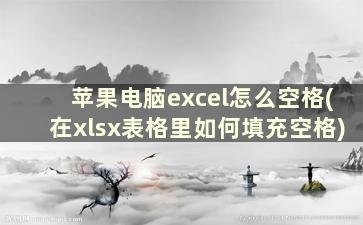 苹果电脑excel怎么空格(在xlsx表格里如何填充空格)