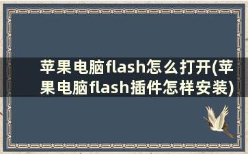 苹果电脑flash怎么打开(苹果电脑flash插件怎样安装)