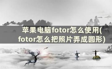 苹果电脑fotor怎么使用(fotor怎么把照片弄成圆形)