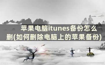 苹果电脑itunes备份怎么删(如何删除电脑上的苹果备份)