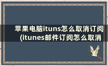 苹果电脑ituns怎么取消订阅(itunes邮件订阅怎么取消啊)