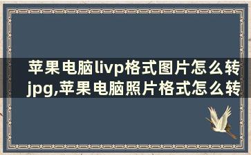 苹果电脑livp格式图片怎么转jpg,苹果电脑照片格式怎么转换jpg格式