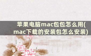 苹果电脑mac包包怎么用(mac下载的安装包怎么安装)