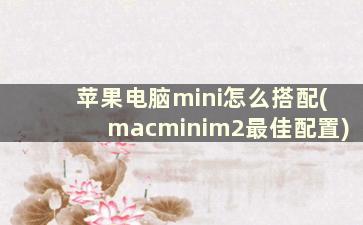 苹果电脑mini怎么搭配(macminim2最佳配置)