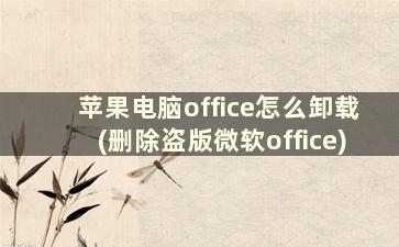 苹果电脑office怎么卸载(删除盗版微软office)