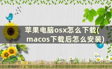 苹果电脑osx怎么下载(macos下载后怎么安装)