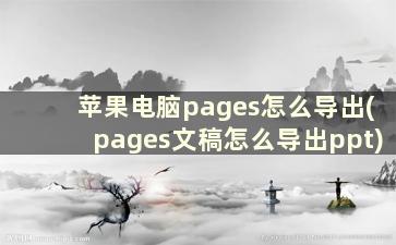 苹果电脑pages怎么导出(pages文稿怎么导出ppt)