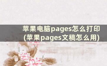 苹果电脑pages怎么打印(苹果pages文稿怎么用)