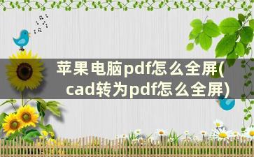 苹果电脑pdf怎么全屏(cad转为pdf怎么全屏)