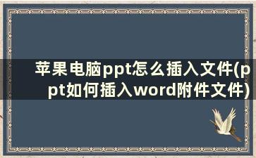 苹果电脑ppt怎么插入文件(ppt如何插入word附件文件)