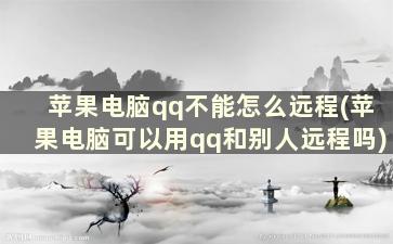 苹果电脑qq不能怎么远程(苹果电脑可以用qq和别人远程吗)