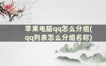 苹果电脑qq怎么分组(qq列表怎么分组名称)