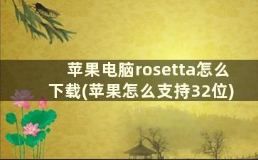 苹果电脑rosetta怎么下载(苹果怎么支持32位)