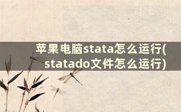 苹果电脑stata怎么运行(statado文件怎么运行)