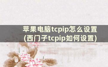 苹果电脑tcpip怎么设置(西门子tcpip如何设置)