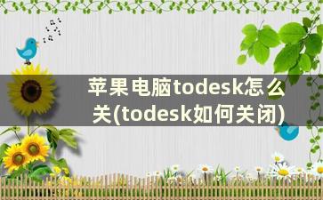 苹果电脑todesk怎么关(todesk如何关闭)