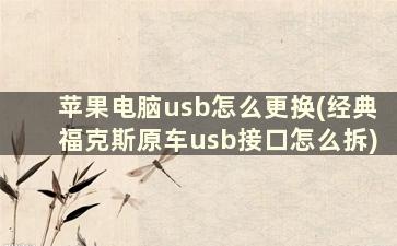 苹果电脑usb怎么更换(经典福克斯原车usb接口怎么拆)