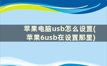 苹果电脑usb怎么设置(苹果6usb在设置那里)