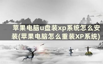 苹果电脑u盘装xp系统怎么安装(苹果电脑怎么重装XP系统)