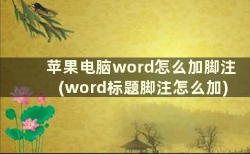 苹果电脑word怎么加脚注(word标题脚注怎么加)