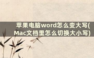 苹果电脑word怎么变大写(Mac文档里怎么切换大小写)