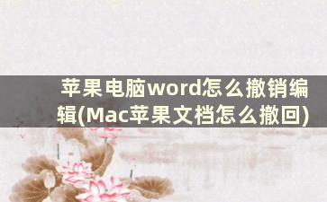 苹果电脑word怎么撤销编辑(Mac苹果文档怎么撤回)