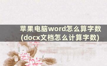 苹果电脑word怎么算字数(docx文档怎么计算字数)