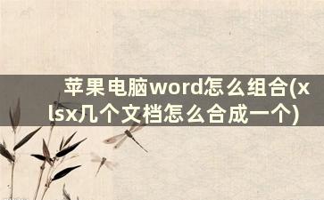 苹果电脑word怎么组合(xlsx几个文档怎么合成一个)