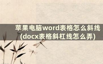 苹果电脑word表格怎么斜线(docx表格斜杠线怎么弄)