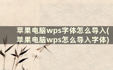 苹果电脑wps字体怎么导入(苹果电脑wps怎么导入字体)