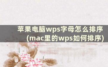 苹果电脑wps字母怎么排序(mac里的wps如何排序)