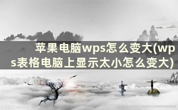 苹果电脑wps怎么变大(wps表格电脑上显示太小怎么变大)