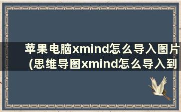 苹果电脑xmind怎么导入图片(思维导图xmind怎么导入到ppt)