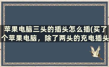 苹果电脑三头的插头怎么插(买了个苹果电脑，除了两头的充电插头外，还有一个三头插头，这个三头的是干嘛用的)