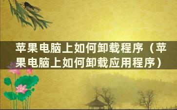 苹果电脑上如何卸载程序（苹果电脑上如何卸载应用程序）