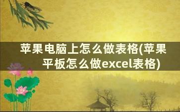 苹果电脑上怎么做表格(苹果平板怎么做excel表格)