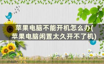 苹果电脑不能开机怎么办(苹果电脑闲置太久开不了机)