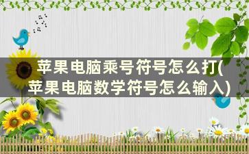 苹果电脑乘号符号怎么打(苹果电脑数学符号怎么输入)