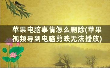 苹果电脑事情怎么删除(苹果视频导到电脑剪映无法播放)