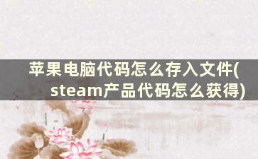 苹果电脑代码怎么存入文件(steam产品代码怎么获得)