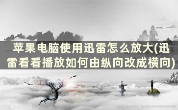 苹果电脑使用迅雷怎么放大(迅雷看看播放如何由纵向改成横向)