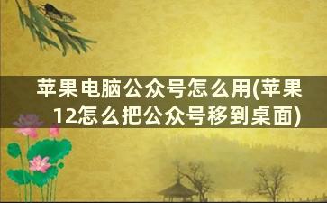 苹果电脑公众号怎么用(苹果12怎么把公众号移到桌面)