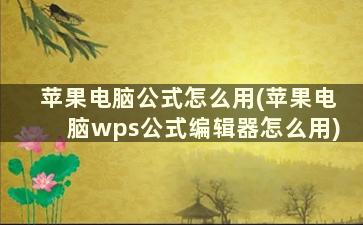 苹果电脑公式怎么用(苹果电脑wps公式编辑器怎么用)