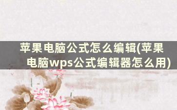 苹果电脑公式怎么编辑(苹果电脑wps公式编辑器怎么用)