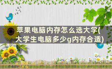 苹果电脑内存怎么选大学(大学生电脑多少g内存合适)