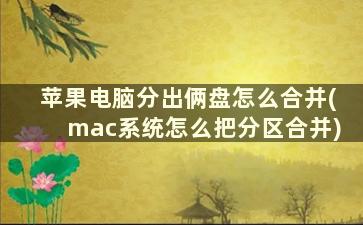 苹果电脑分出俩盘怎么合并(mac系统怎么把分区合并)