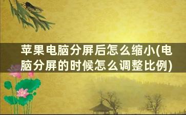 苹果电脑分屏后怎么缩小(电脑分屏的时候怎么调整比例)