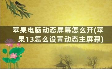 苹果电脑动态屏幕怎么开(苹果13怎么设置动态主屏幕)