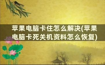 苹果电脑卡住怎么解决(苹果电脑卡死关机资料怎么恢复)